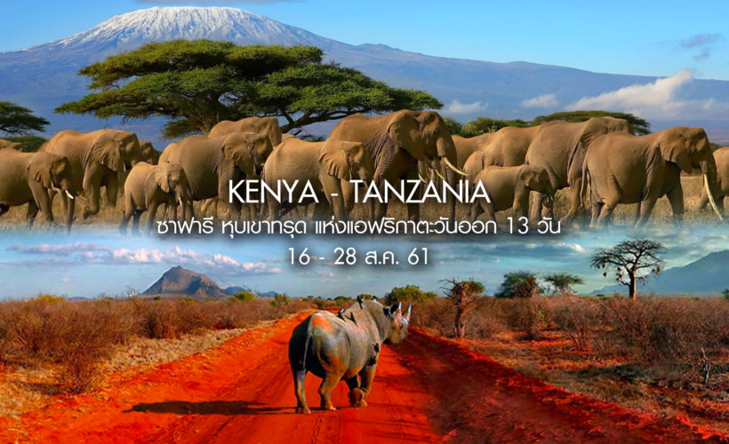 kenya facebook landscape v01